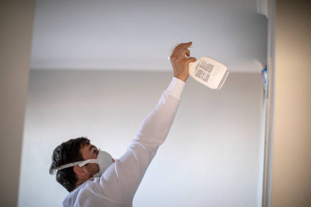 Certified Mold Removal in Glasco, NY
