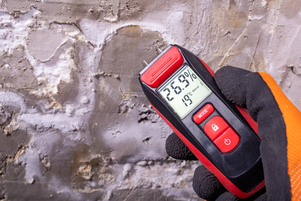 Best Fast Mold Removal  in Glasco, NY