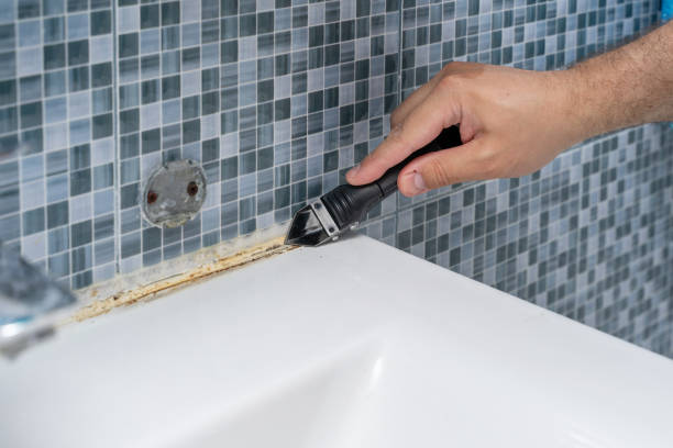 Trusted Glasco, NY Mold Removal Experts